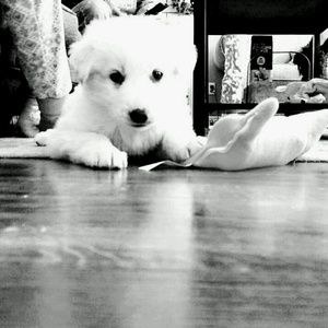 Meet your Posher, Nicole